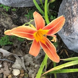 Meet your Posher, Kris